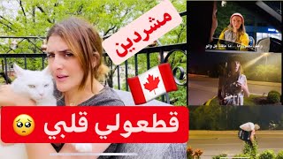 ⛔️⛔️⛔️بلا كذوب هادي هي الحقيقة اللي ما كتبانش 🇨🇦