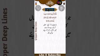 Surah e Room Ayat  No 15سورۃ الروم آیت نمبر  15#shorts #shortsvideo #short #islamic