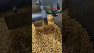 Corn Chips Manufacturing Process Snack Extruder Machine Corn Puff Machine Snack Food Machine