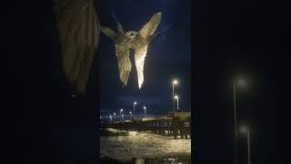 Seraphim Angel Sighted Over the Ocean | Animation