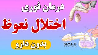 درمان اختلال نعوظ | ۱۰ خوراکی مفید برای درمان اختلال نعوظ در کمتر از یکماه