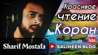 SHARIF MOSTAFA. КРАСИВОЕ ЧТЕНИЕ КОРАН.