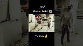 ||Miracle of Allah-😱😱power of Allah-#shorts #shortsfeed #viral  #trendingshorts #allah.