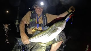 Willow Beach Az. Jackson Big Rig FD Got a 12.2 pounder. #tonygarcialures #willowbeachfishing