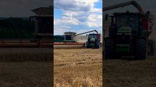 Kombajn Claas LEXION 770 a sklizeň obilí 🌾 #combine #farming #village #machine #agro #farmer