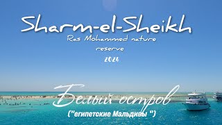 БЕЛЫЙ ОСТРОВ|Египетские Мальдивы| Заповедник Рас Мохаммед#sharmelsheikh #белыйостров #egypt #redsea