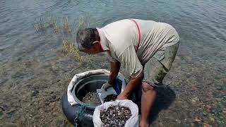 MENCARI PENSI DI DANAU SINGKARAK