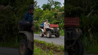 #shorts Saludando choferes 🇨🇷😎 #fotografia #music #trailer #camion #truck