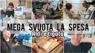 MEGA SVUOTA LA SPESA ALDI E TIGOTA