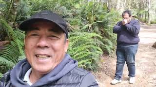 Visited Liffey Falls Taamania Austrlia|Eyingtv