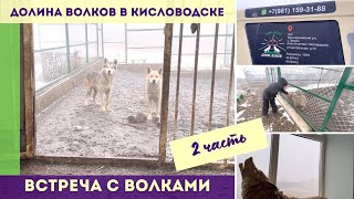 Долина волков в Кисловодске. Часть 2 - встреча с волками