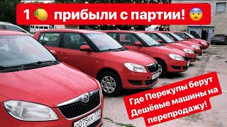 Где Перекупы находят Дешёвые Машины!? 1 Млн. Руб  Чистыми с партии!