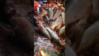 deshi fish cutting