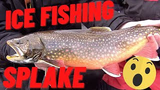 WE FOUND FIRST ICE IN ALGOMA | SPLAKE FISHING