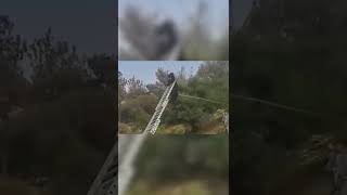 This Goat Got Stuck on a Powerline!