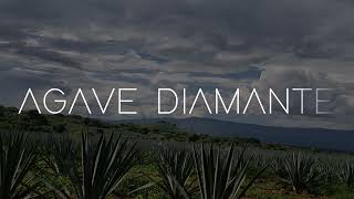 AGAVE DIAMANTE | PROXIMAMENTE | San Juan del Río, Qro.