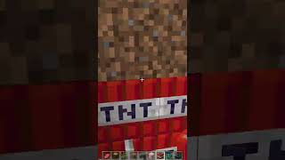 Minecraft Warden Vs TNT  #shorts  #theboys