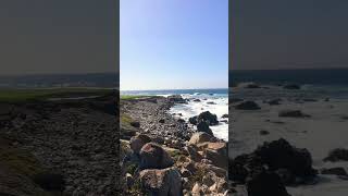 Best spot on the 17 mile drive of California! #california #vlog #17miledrive #beach #naturelovers