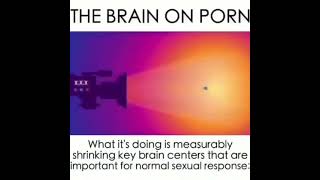 Porno= Braindamage