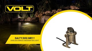 What's In The Box? | VOLT® Salty Dog MR11 Shielded Brass Underwater Light (Bronze)