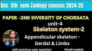 Bsc 5th sem zoology P2 class|unit-4|Appendicular skeleton-Gerdals & limbs|with pyq|Hindi+English