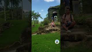 ¿🇧🇷Conocías el jardín Botánico de Río de Janeiro🤔? #youtubeshorts #jardin  #riodejaneiro #brasil