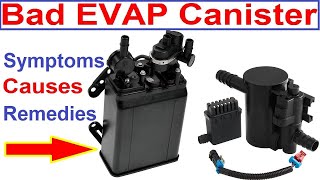 Bad Evap Canister Symptoms, Causes, and Remedies