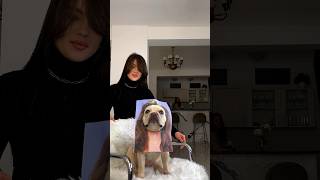 Doggelina Jolie                                          #video #vibe #memes #jokes #pov #rek