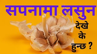 सपनामा लसुन देखे के हुन्छ | sapana ma lasun dekhe k hunxa ।