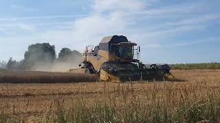 Recogida de cereal en Bauska (Letonia)