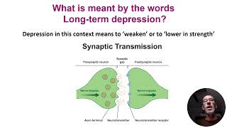 LTD - Long Term Depression of neural circuits - VCE Psychology