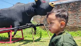 Mas zehan blm mau pulang lihat banteng sisa2 karnaval kemarin.