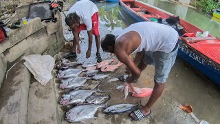 Great Deep Drop & Trolling Catch By Fishermen | Black & Red Snapper ,Tuna