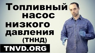 Топливный насос низкого давления ТННД