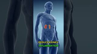 Top 5 Foods to Cleanse Your Kidneys