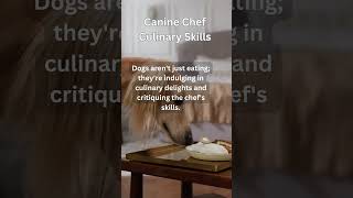 Canine Chef Culinary Skills