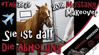 Wir holen meinen Mustang am Flughafen ab - Mustang Makeover