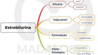 Mitos da Lavoura 2. Estrobilurinas não servem mais p manejo de doenças.