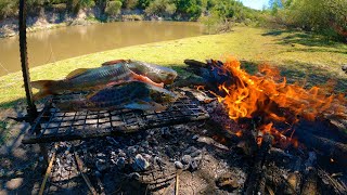 Pesca y cocina en increíble Arroyos, Pescado Asado, Bagres Frito, Mojarras, Supervivencia y Aventura