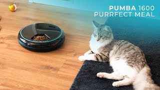 Animali domestici - Pumba 1600 Purrfect Meal