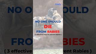 Dog bite and Rabies Prevention advice by Veterinarian | #dogs #rabies #vet