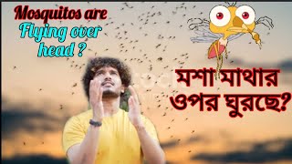 Why mosquitos are Flying over head ? কেন মশা মাথার ওপর  ভণভন করে সন্ধেবেলা ? জেনে নিন আসল কারণ