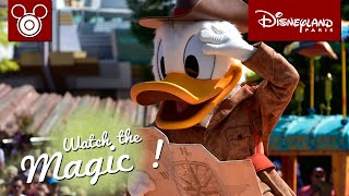 Watch the Magic ! Episode 2 Jungle Book Jive at Disneyland Paris