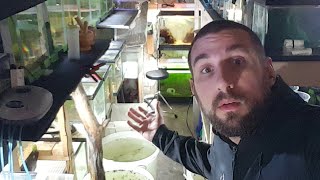 Fish Room Updates  - Week Ending October 6, 2018