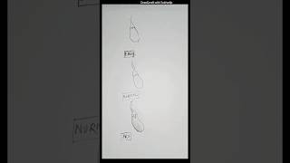 Draw a  brinjal #art #views #trending #shorts #arttutorial