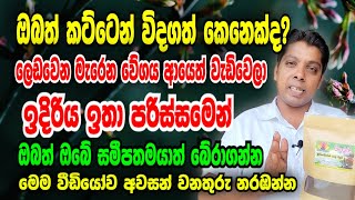 එදා විදගත්ත නේද? මැරෙන්න ලෙඩවෙන්න කලින් ජීවිතය බේරගන්න.