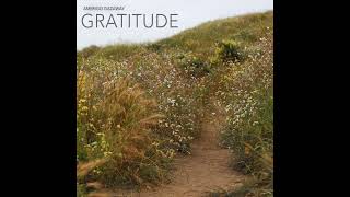 Amerigo Gazaway - Butterfllies︱Gratitude