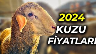 KIVIRCIK KUZUNUN ADRESİ | 3000 TL den BAŞLAYAN FİYATLARLA