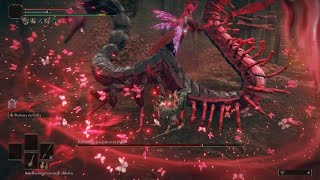 Elden Ring - Styling on M'Lady Romina with Wing Stance (No Hit, NG+)