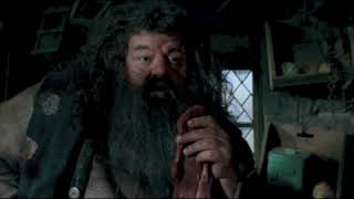 Harry Potter and the Order of the Phoenix - Hagrid's Tale